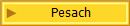 Pesach